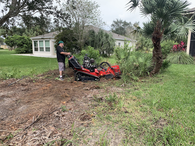 Crew performing professional tree trimming